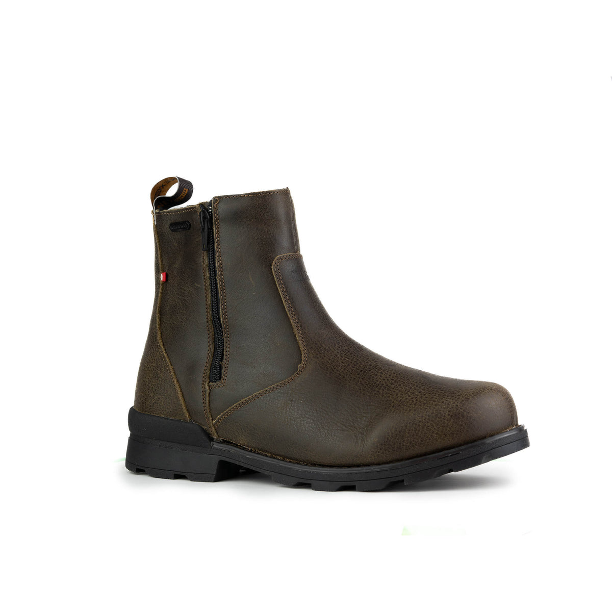 NC-ICELUCIAN2-Fossil-