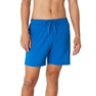 Men's Speedo Redondo Edge Valley 17"