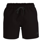 Men's Speedo 4way Flex Volley 16" Short