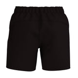 Men's Speedo 4way Flex Volley 16" Short