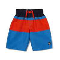 Speedo Color Blocked Board Short