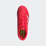 Junior Adidas Predator Club FG Soccer CLeat