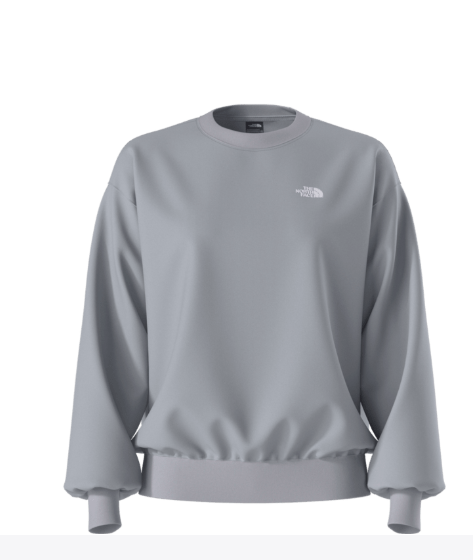 North Face Women's Evolution Simple Dome Oversized Crew