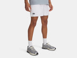 Under Armour Men's 5" Icon Mesh Shorts