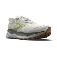 Brooks Cascadia 19 (Mens)