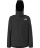 North Face Men's Descendit Jacket