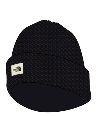 North Face Salty BAE Lined Beanie