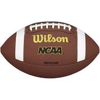 Wilson NCAA TD Composite Football